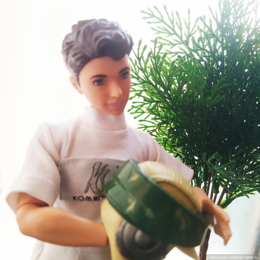 Квиддич. Сова для наставников (фото 2)