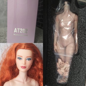 Тест на подвижность World Box GB AT202