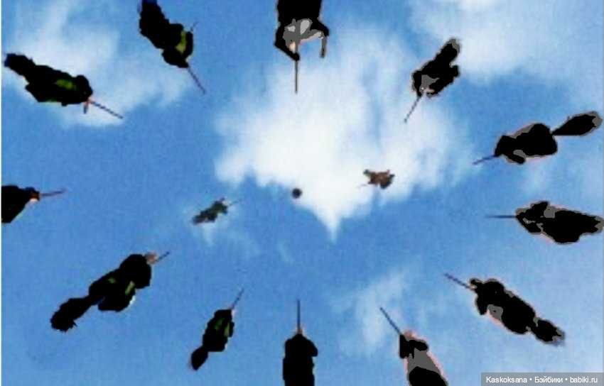 Квиддич. МагоМатч октября. Анонс