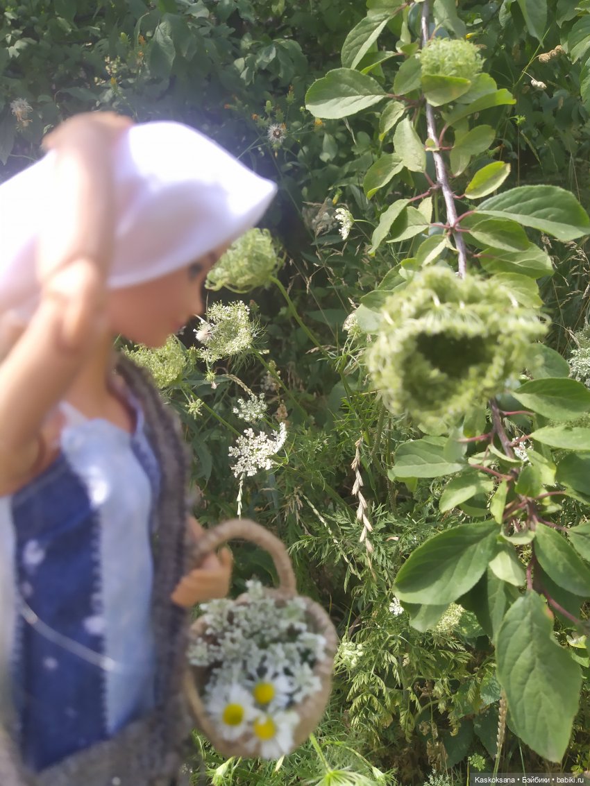 Росава. Роса Иванова — Гибриды шарнирных кукол (не БЖД): подбор тела