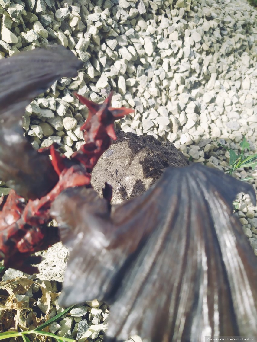 Августфест: О.Громыко "Профессия - ведьма". Драконология. Часть первая