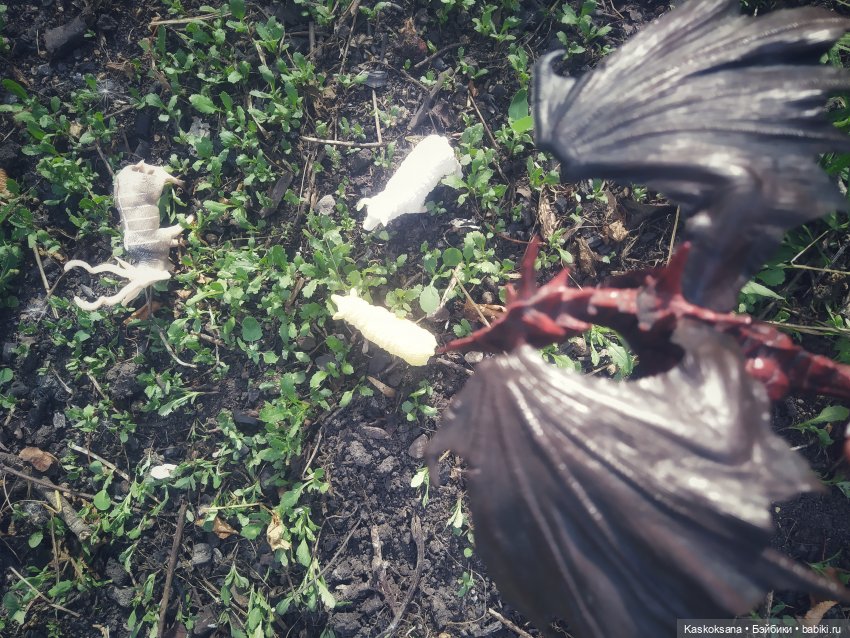 Августфест: О.Громыко "Профессия - ведьма". Драконология. Часть первая (фото 9)