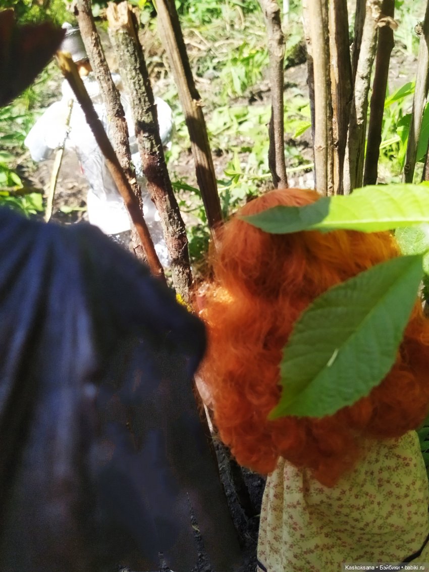 Августфест. Профессия - ведьма. Драконология. Часть вторая (фото 4)