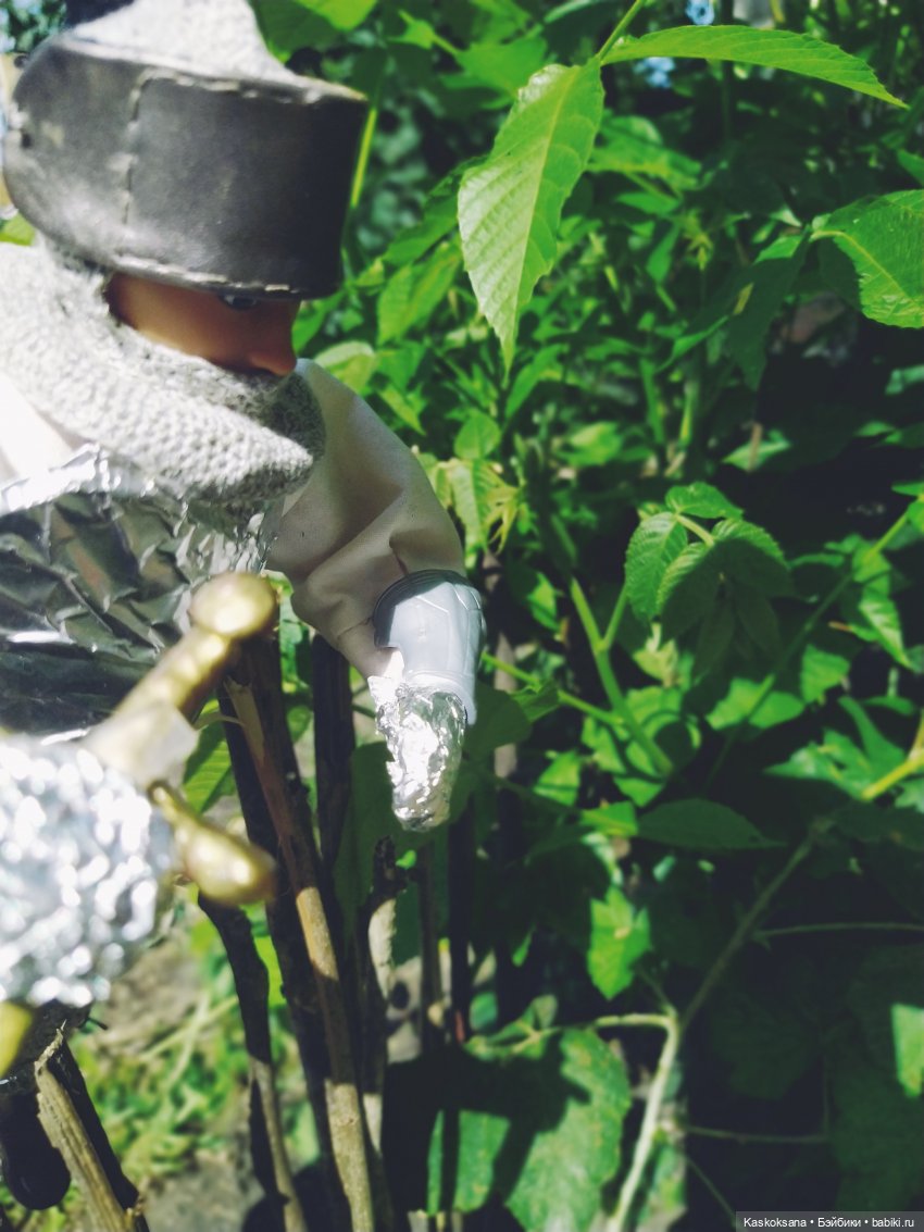 Августфест. Профессия - ведьма. Драконология. Часть вторая