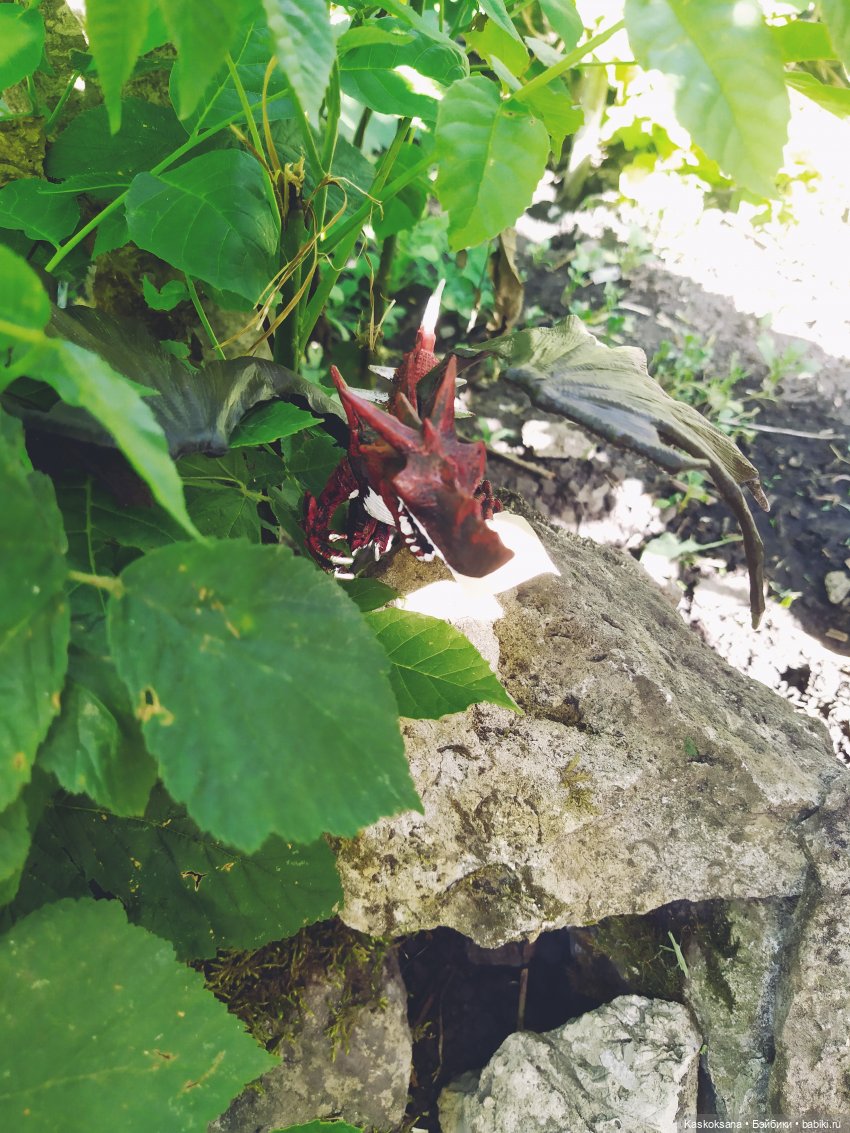 Августфест. Профессия - ведьма. Драконология. Часть вторая