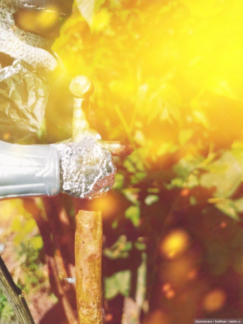 Августфест. Профессия - ведьма. Драконология. Часть вторая