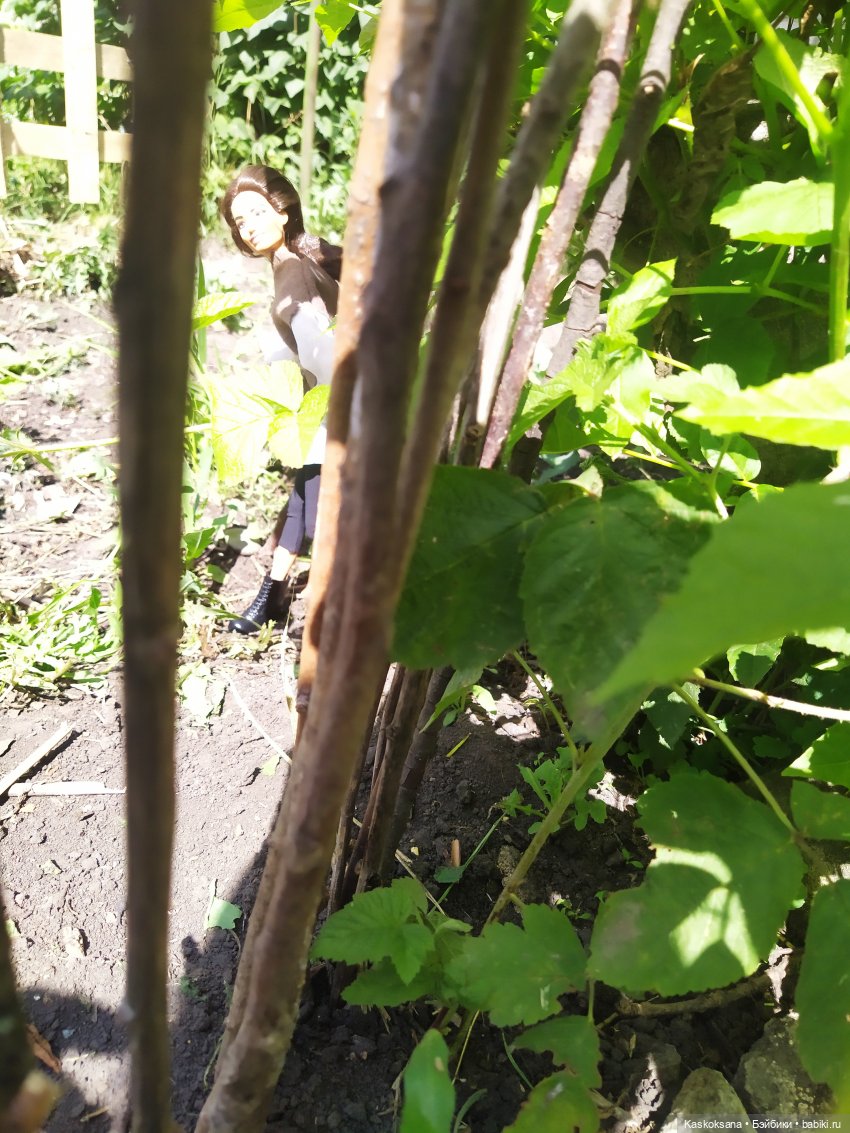 Августфест. Профессия - ведьма. Драконология. Часть вторая (фото 6)