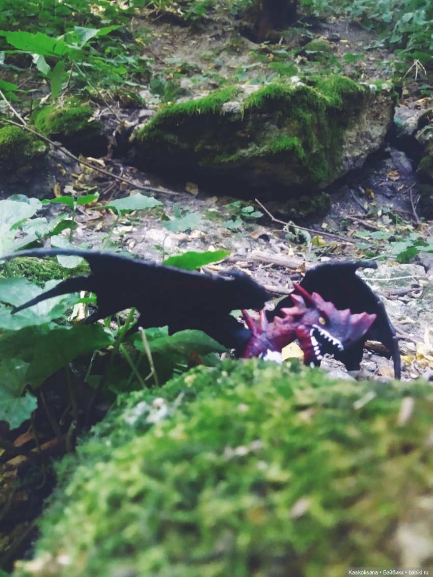 Августфест: О.Громыко "Профессия - ведьма". Драконология. Часть первая (фото 7)