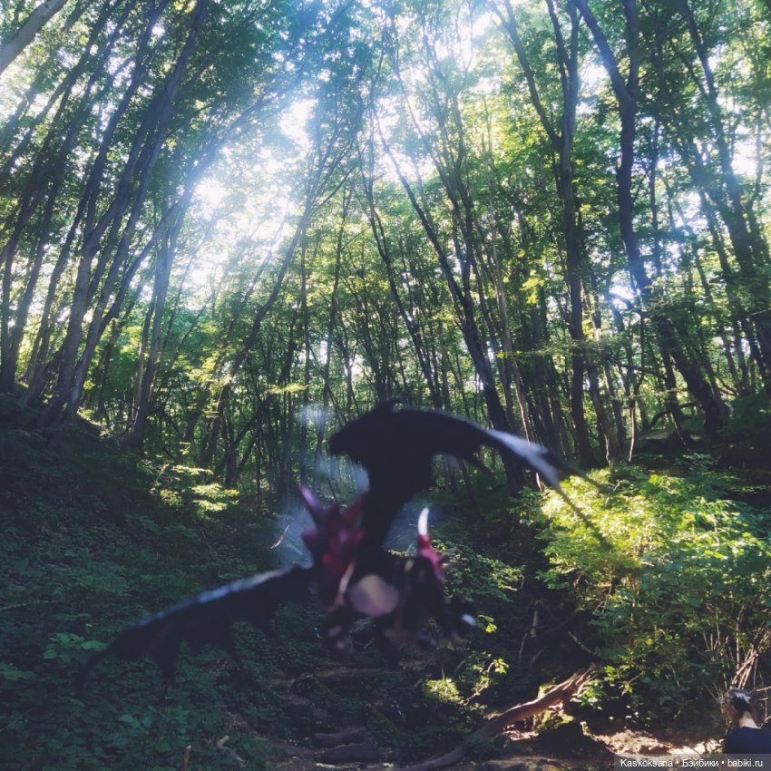 Августфест: О.Громыко "Профессия - ведьма". Драконология. Часть первая (фото 6)