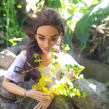 Лесная заводь