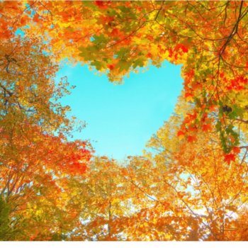 Изменения в играх октября по квиддичу