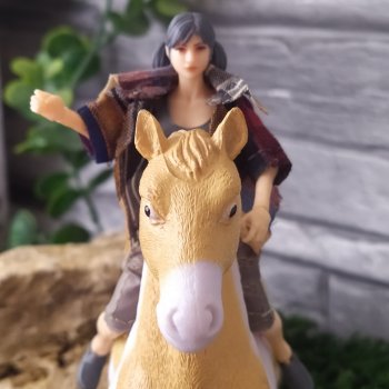 Таткина коняга