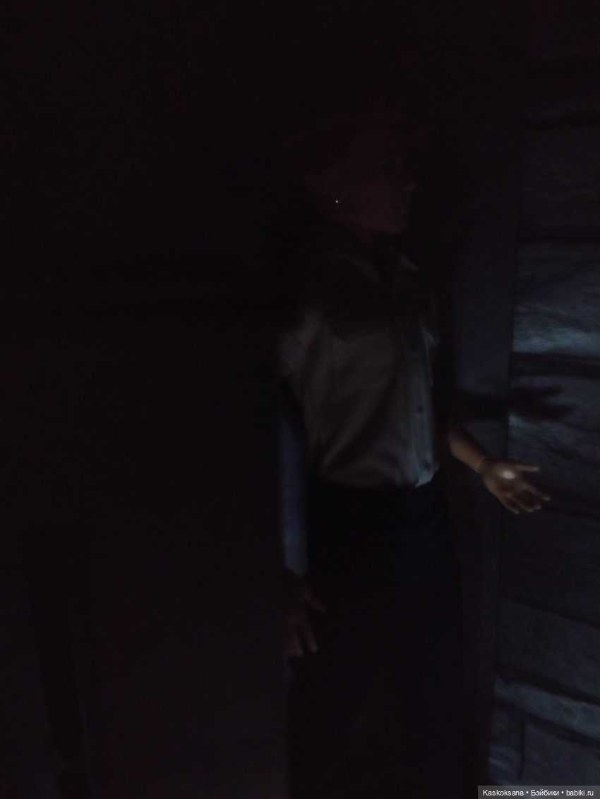 Хью и Айлин. Подсказка — Куклы Barbie (Барби): Looks (фото 5)