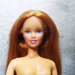 Барби Кортни, Teen Skipper Fashion Party