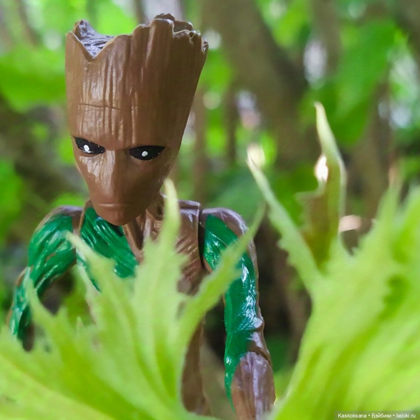 Грут нашего сада — Разные шарнирные куклы (не БЖД): редкие