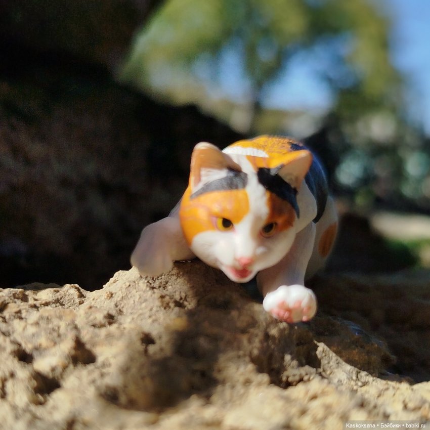 Хитрый Рыжик, он же - Рыж (фото 7)