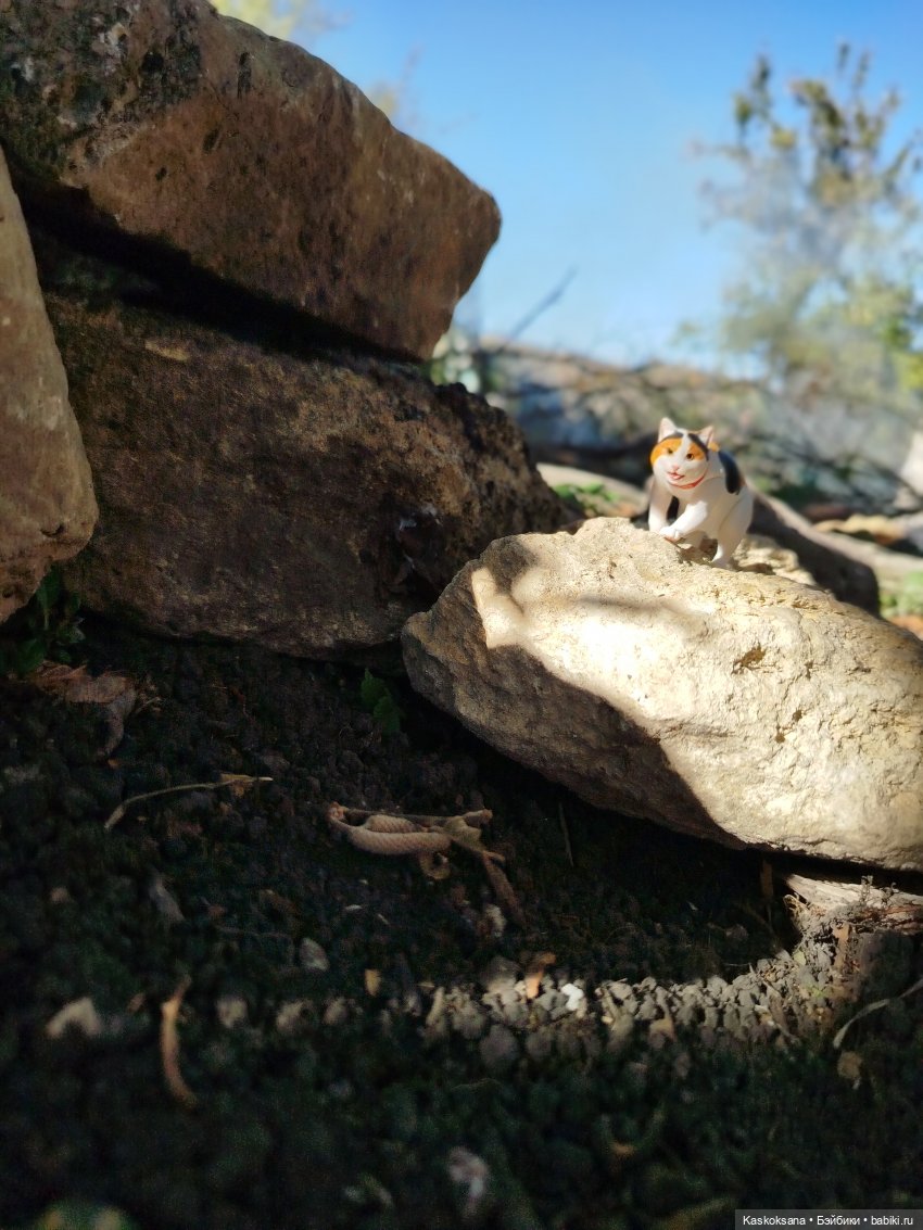 Хитрый Рыжик, он же - Рыж