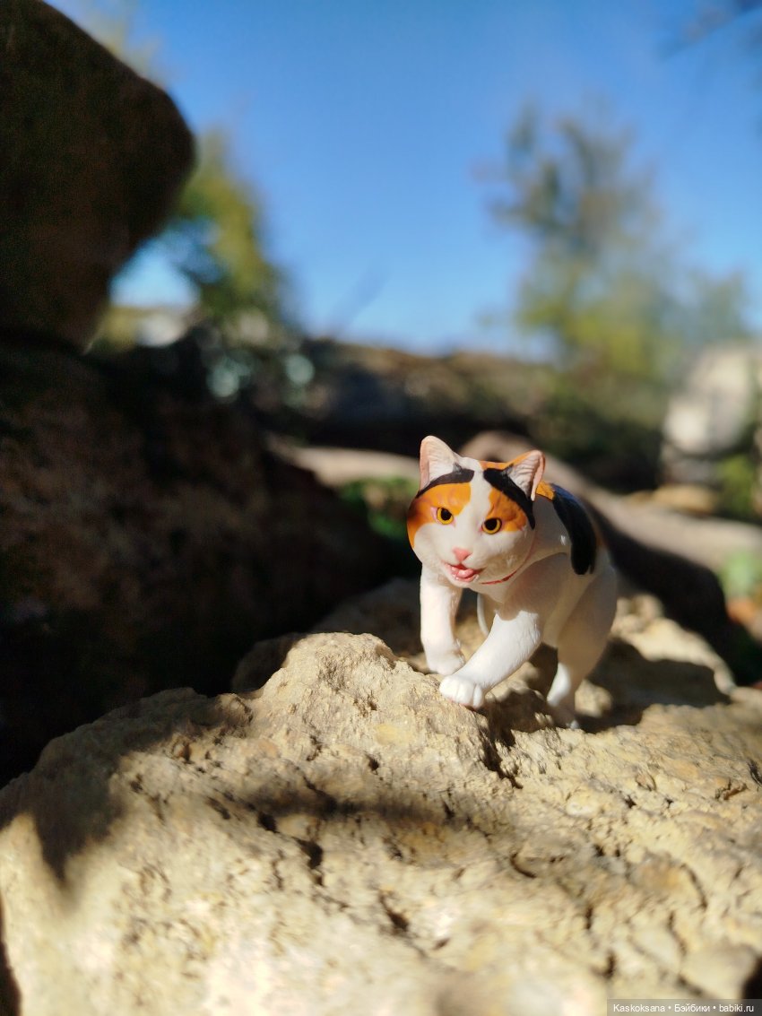 Хитрый Рыжик, он же - Рыж (фото 4)