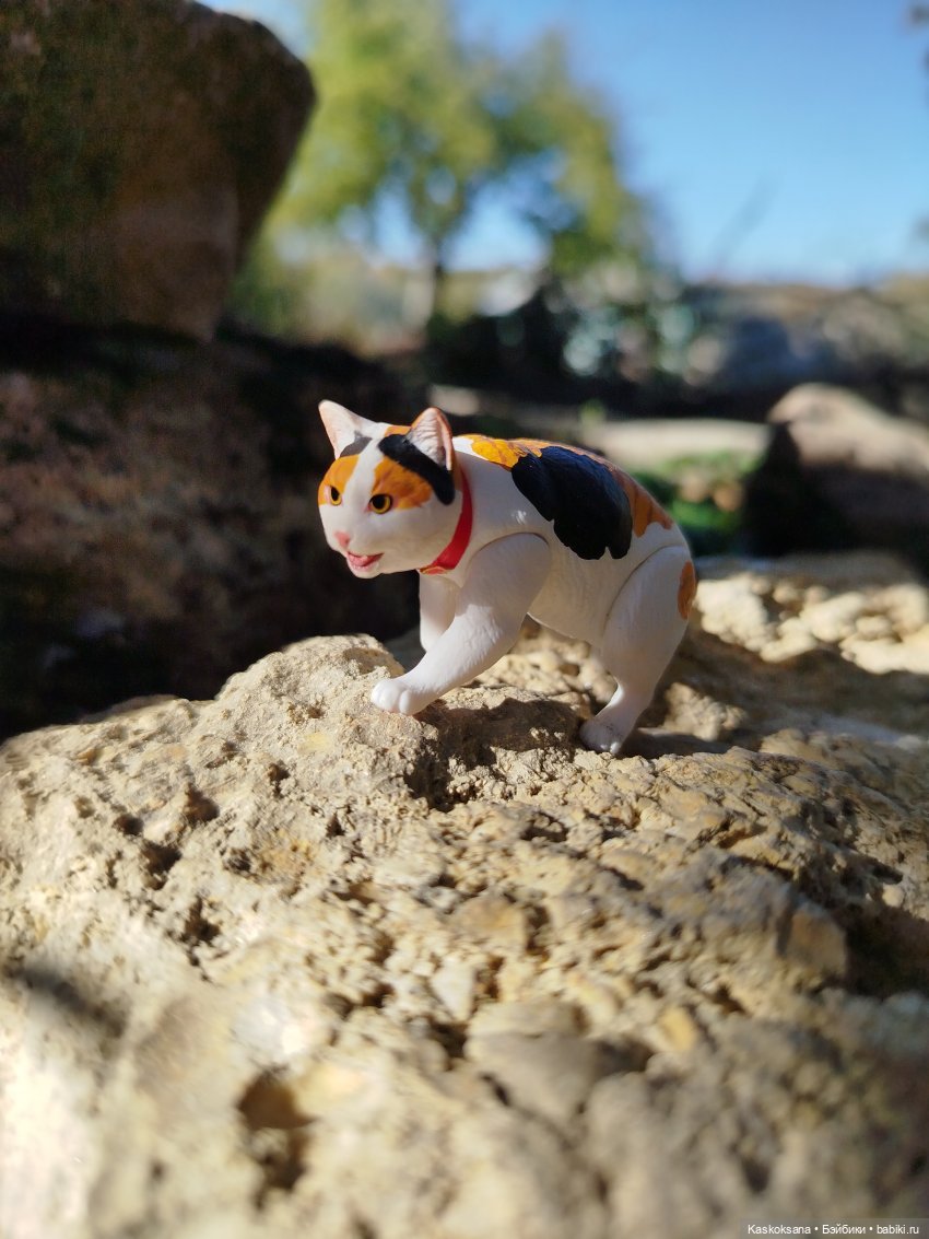 Хитрый Рыжик, он же - Рыж (фото 2)