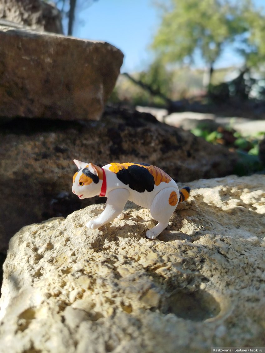 Хитрый Рыжик, он же - Рыж (фото 3)