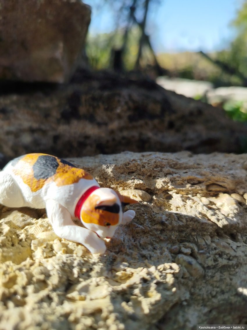 Хитрый Рыжик, он же - Рыж (фото 10)