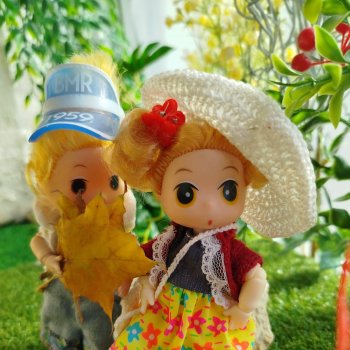 Как Любимчики листья не поделили