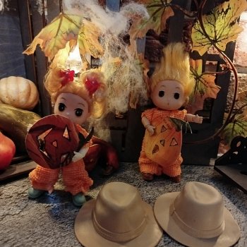 Как Любимчики тыквами были