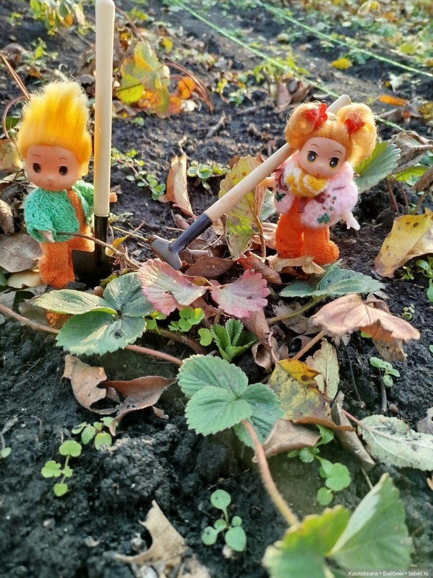 Как Любимчики хорошо поработали (фото 2)