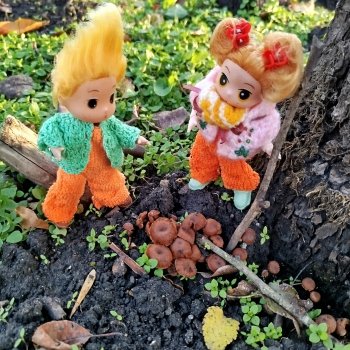 Как Любимчики хорошо поработали