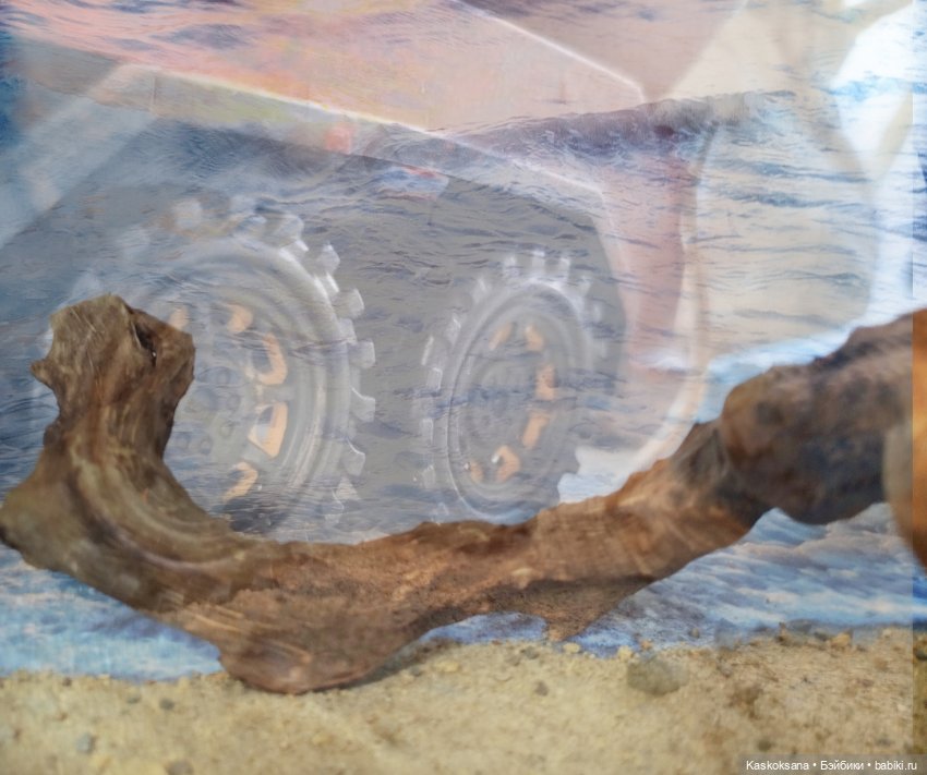 Музфест. "То, что делает тебя прекрасной" (фото 4)