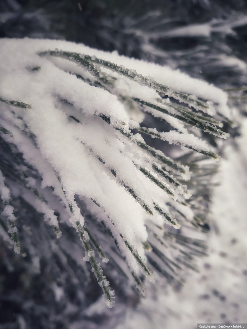 Новогодняя телепрограмма. Шире круг. "Снег кружится"