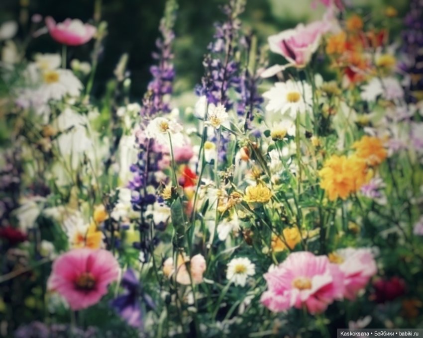 Случайные неслучайности. Эпизод 83 Звоночек