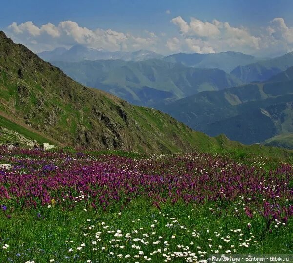 Из тьмы веков. Запев — Куклы Barbie (Барби): Looks (фото 5)