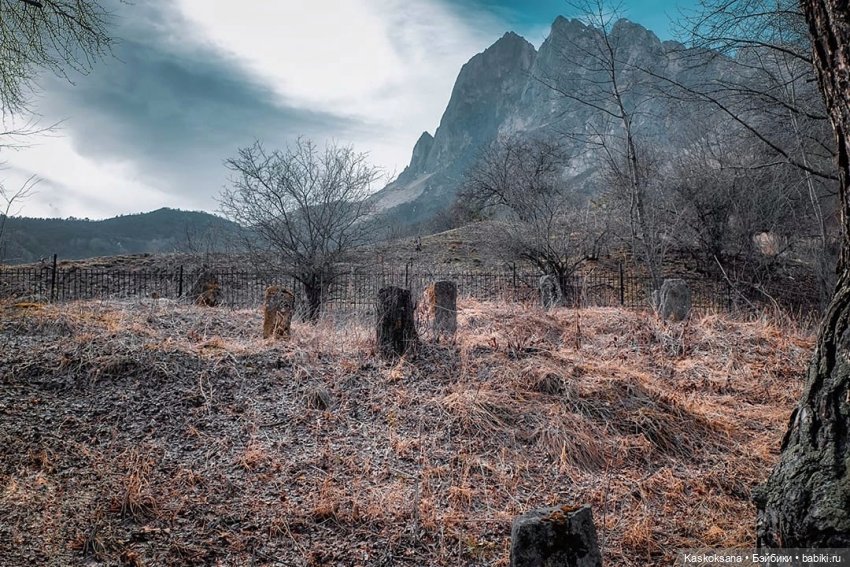 Из тьмы веков. Запев — Куклы Barbie (Барби): Looks