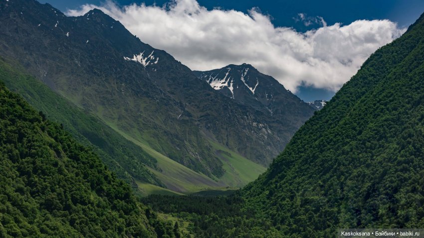 Из тьмы веков. Запев — Куклы Barbie (Барби): Looks (фото 3)