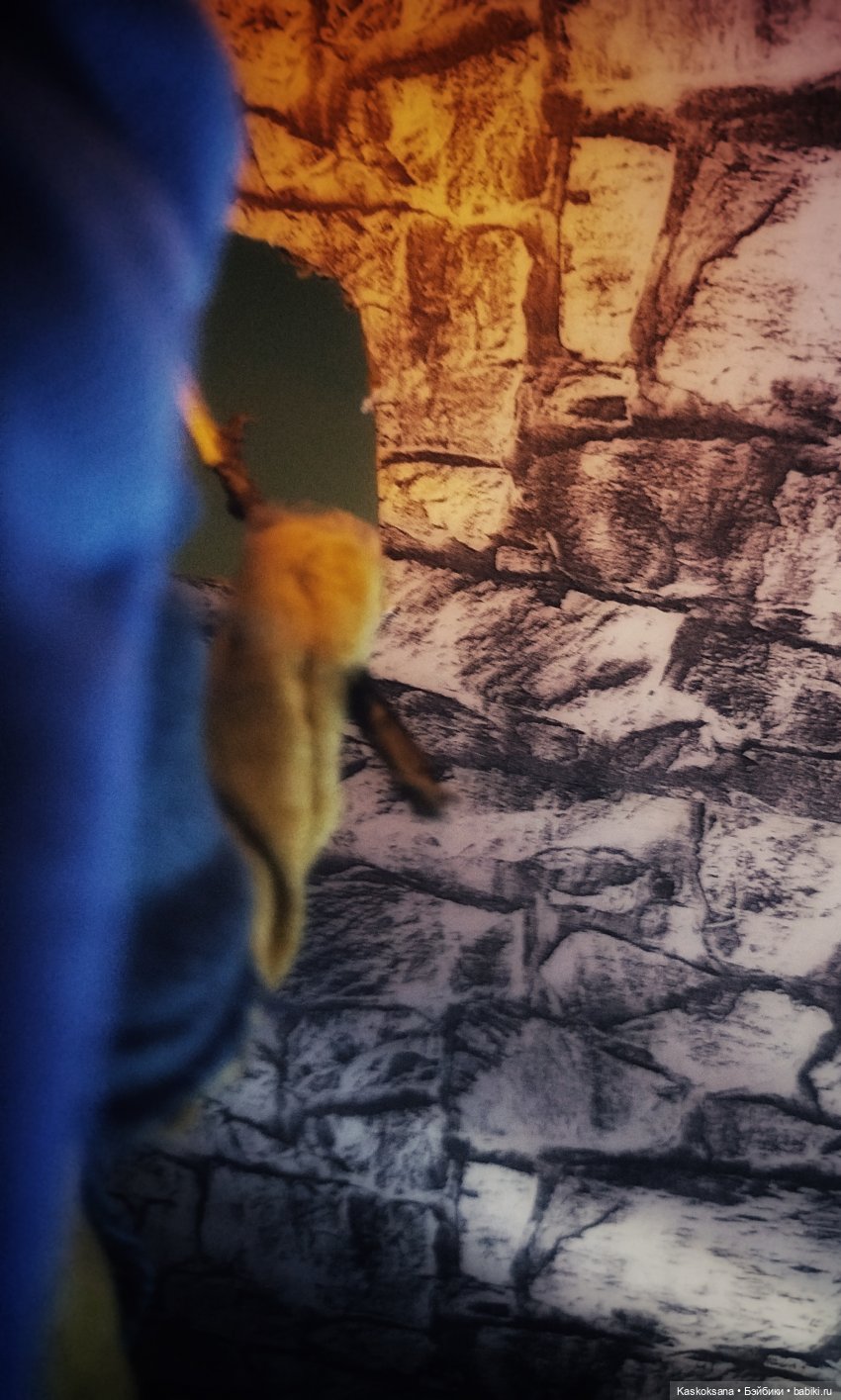 Из тьмы веков. Часть 1 Мечта. Серия 2 Братья