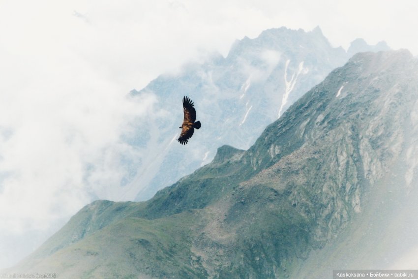 Из тьмы веков. Часть 1 Мечта. Серия 6 Песнь чондыра | Бэйбики Из тьмы веков. Часть 1 Мечта. Серия 6 Песнь чондыра