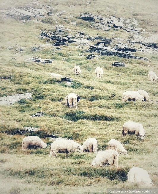 Из тьмы веков. Часть 1 Мечта. Серия 7 Решение