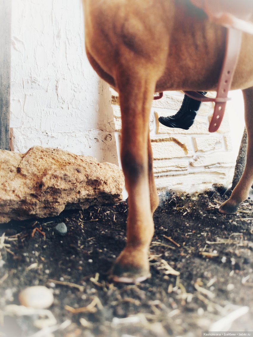 Из тьмы веков. Часть 1 Мечта. Серия 9 Согласие