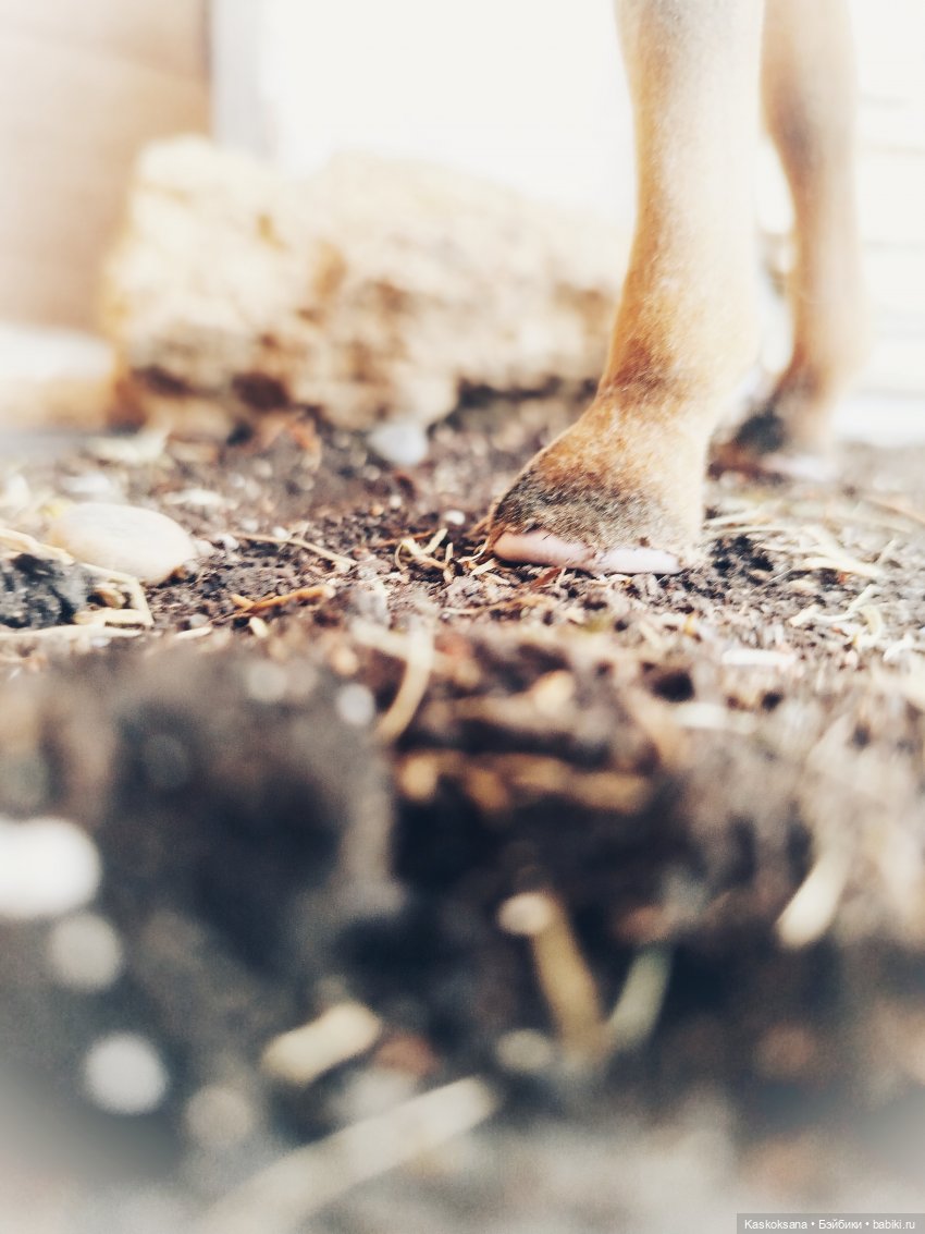 Из тьмы веков. Часть 1 Мечта. Серия 9 Согласие