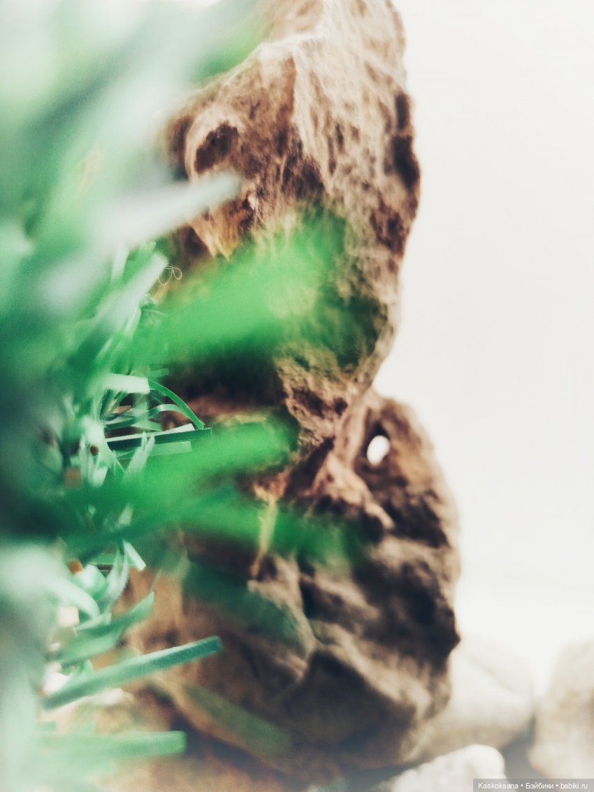 Из тьмы веков. Часть 1 Мечта. Серия 12 Прощание | Бэйбики Из тьмы веков. Часть 1 Мечта. Серия 12 Прощание