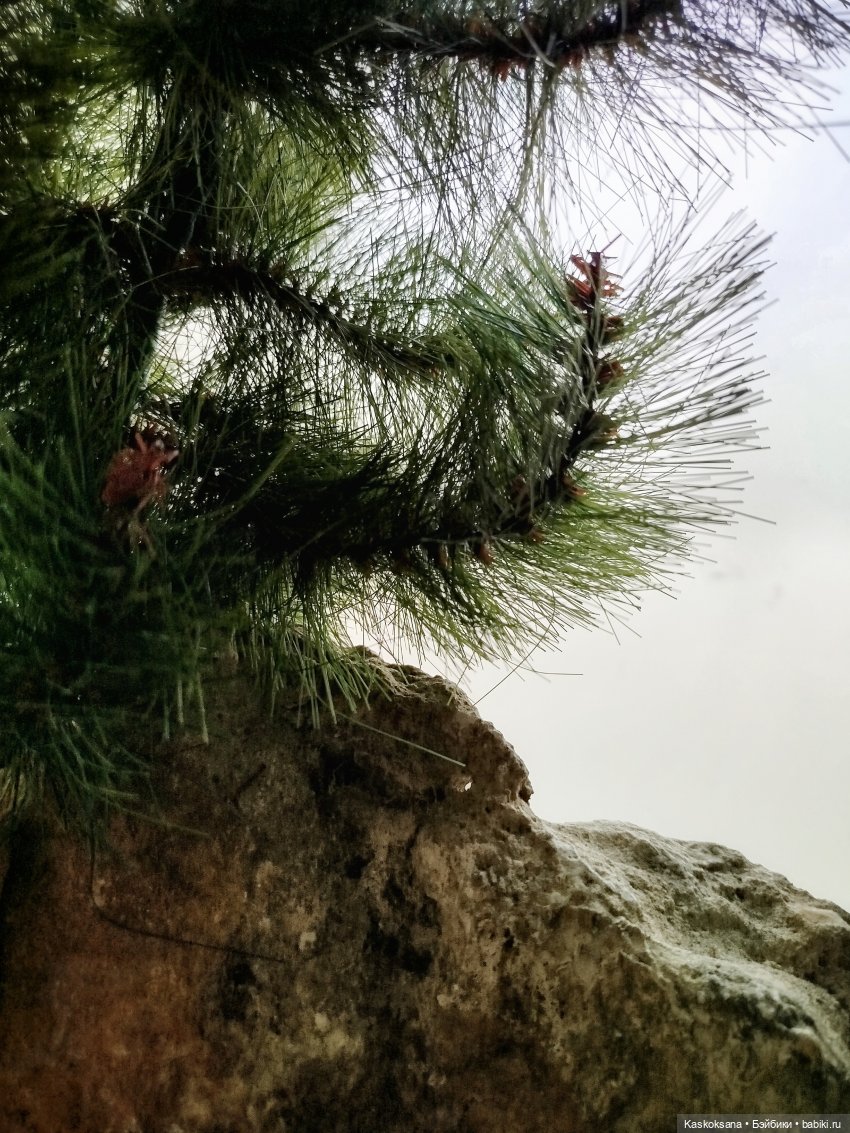 Из тьмы веков. Часть 2 Язычники Серия 7 Радость