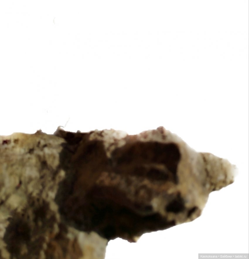 Из тьмы веков. Часть 2 Язычники Серия 8 Волшебный рожок