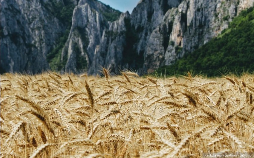 Из тьмы веков. Часть 2 Язычники Серия 10 Пожар