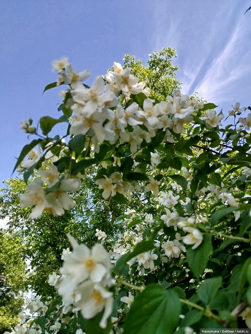 Открываем Врата Лета — Кукольные фестивали и конкурсы: праздники