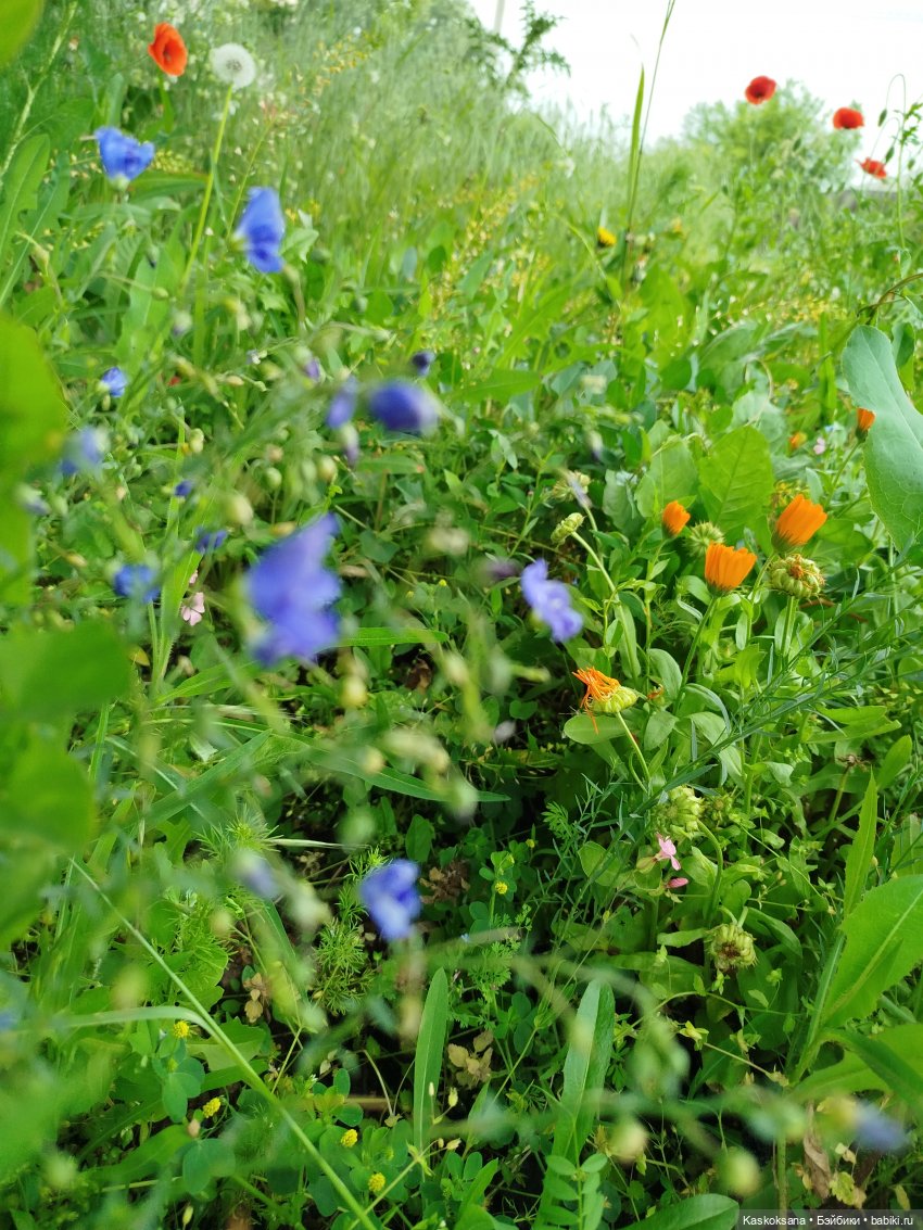 Открываем Врата Лета — Кукольные фестивали и конкурсы: праздники (фото 7)