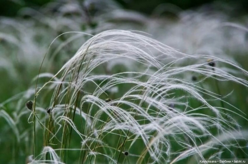 Открываем Врата Лета — Кукольные фестивали и конкурсы: праздники (фото 3)