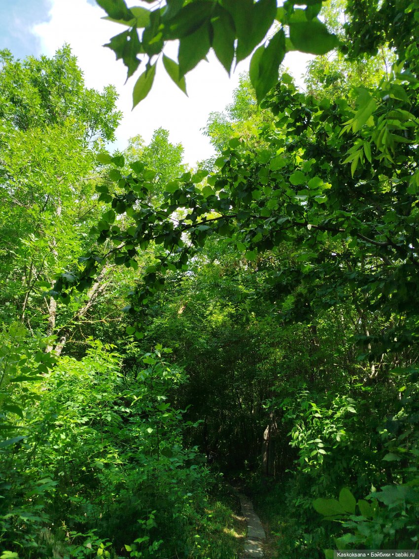 Напоминалка: Врата Лета — Кукольные фестивали и конкурсы: праздники