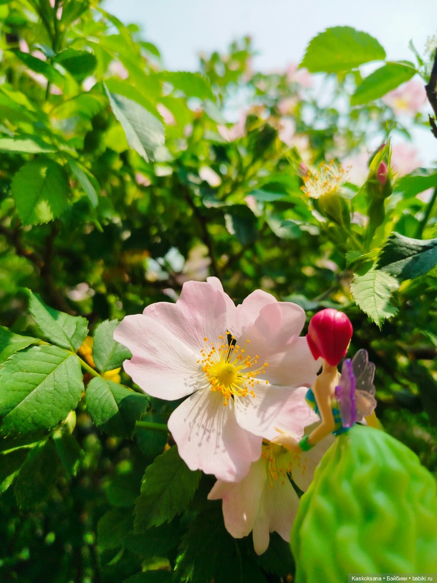 Открываем Врата Лета — Кукольные фестивали и конкурсы: праздники