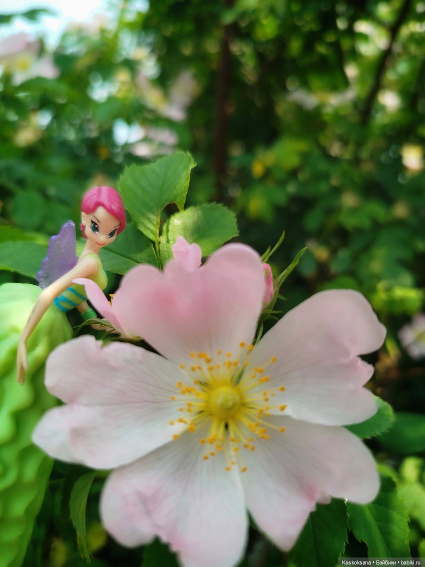 Открываем Врата Лета — Кукольные фестивали и конкурсы: праздники